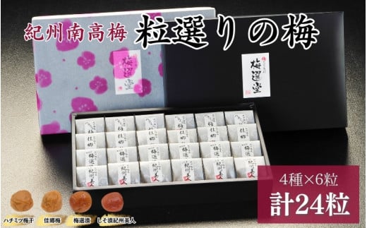 紀州産南高梅 粒選りの梅  計24個  佳郷梅（塩分約10％）・ハチミツ梅干（塩分8%）・しそ漬紀州美人（塩分約12％）・梅選漬（塩分約8％） / 和歌山 田辺 紀州南高梅 南高梅 梅干し 梅干 梅 うす塩 減塩 肉厚 りんご酢 はちみつ入り お米 おにぎり ご飯のお供【kmr015】