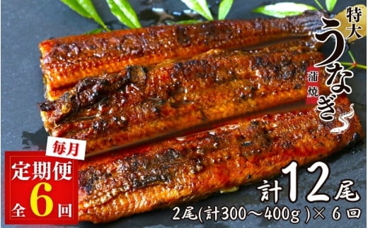 【6カ月定期便】特大うなぎ蒲焼き2本セット×6回 / 和歌山 田辺 うなぎ 鰻 かば焼き うな丼 うな重  国産 鰻丼 特大【kpy025-tk】