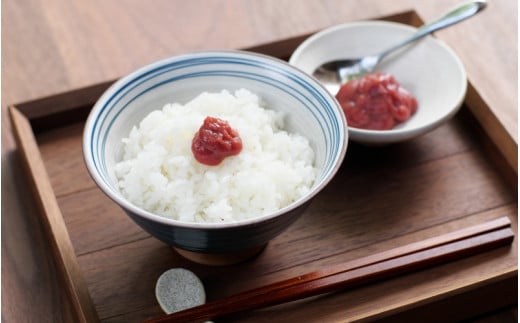 紀州南高梅 ねり梅セット （500g×3本）  / 紀州南高梅 南高梅 梅干し 梅干 梅 うめ 和歌山 田辺市 肉厚 お米 梅肉 しそ しそ風味 練り梅 練梅【nkn007-2】