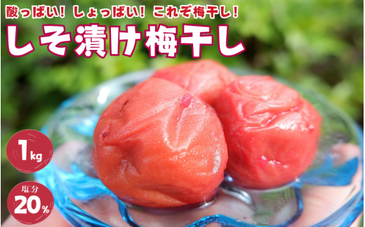 紀州南高梅 しそ漬け梅 1kg 塩分20％ 添加物不使用 / 梅 うめ ウメ  梅干し 梅干 しそ 紫蘇 シソ しそ漬け 紫蘇漬け 南高梅 紀州南高梅 和歌山県 田辺市 【aoi013】