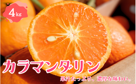 カラマンダリン 4㎏ 【2026年4月下旬～5月下旬頃より順次発送】 / みかん ミカン 蜜柑 カラマンダリン 和歌山 田辺市 紀州 くだもの 柑橘 フルーツ 【aoi008-1】