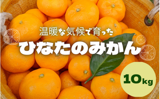 ＜先行予約＞ひなたのみかん 10kg ※2024年12月頃に順次発送予定【期間限定・先行予約・2024/11/30まで】  / 田辺市 みかん 期間限定 先行予約 ミカン 和歌山 紀州【okm010】