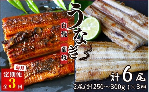 【3カ月定期便】うなぎ蒲焼き、うなぎ白焼き　各1本セット×3回 / 和歌山 田辺 うなぎ 鰻 白焼き うな丼 うな重  国産 鰻丼 かば焼き【kpy021-tk】