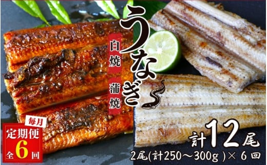 【6カ月定期便】うなぎ蒲焼き、うなぎ白焼き　各1本セット×6回 / 和歌山 田辺 うなぎ 鰻 白焼き うな丼 うな重  国産 鰻丼 かば焼き【kpy022-tk】