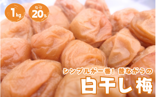 紀州南高梅 白干し南高梅干し 1kg 塩分20％ 添加物不使用 / 梅 うめ ウメ  梅干し 梅干 白干し 南高梅 紀州南高梅 和歌山県 田辺市 【aoi014】