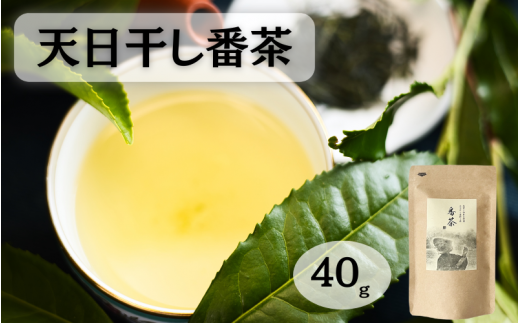 天日干し番茶 40g入り/ 和歌山  田辺市  健康  お茶 和風  煎茶 釜炒り茶 ティーバッグ 番茶 【ntc007】