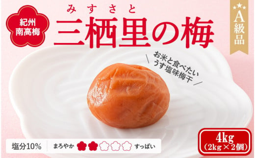 ＼レビューキャンペーン中／ 紀州南高梅　三栖里の梅（塩分10%）　4kg(2kg×2個）  / 田辺市 紀州南高梅 南高梅 梅干し 梅干 梅  肉厚 お米 おにぎり 焼酎 梅酒 健康 【ske041-1】