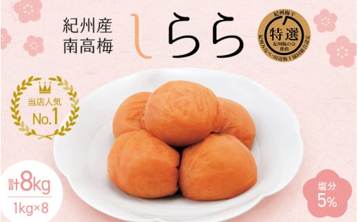 紀州産南高梅 梅干し しらら（塩分5％）1kg（500g×2入）×8個 / 梅干し 梅干 梅 和歌山 田辺 紀州南高梅 南高梅 うす塩 減塩 塩分控えめ ご飯のお供【nkt005-1】