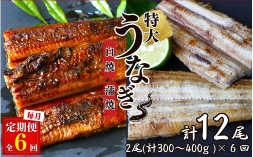 【6カ月定期便】特大うなぎ蒲焼き、うなぎ白焼き　各1本セット ×6回/ 和歌山 田辺 うなぎ 鰻 白焼き うな丼 うな重  国産 鰻丼 かば焼き【kpy031-tk】