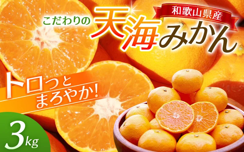 完熟早生みかん　宮川早生３kg※2025年12月から順次発送予定※ 【期間限定・12/20まで受付】/ 和歌山県 ミカン フルーツ 果物 柑橘 田辺市 【nak005-1】