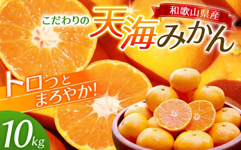 完熟早生みかん　宮川早生１０kg※2025年12月から順次発送予定※ 【期間限定・12/20まで受付】/ 和歌山県 ミカン フルーツ 果物 柑橘 田辺市 【nak007-1】