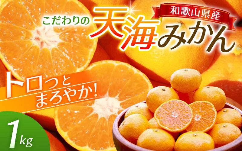 完熟早生みかん　宮川早生１kg※2025年12月から順次発送予定※【期間限定・12/20まで受付】 / 和歌山県 ミカン フルーツ 果物 柑橘 田辺市 【nak004】