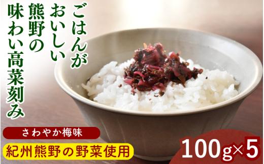 ごはんがおいしい！熊野の味わい高菜刻み 【さわやか梅味】 100g×5袋セット / 梅 うめ 高菜漬け 田辺市 漬物 つけもの 健康 和歌山 醤油 野菜 ご飯のおとも【kms024】