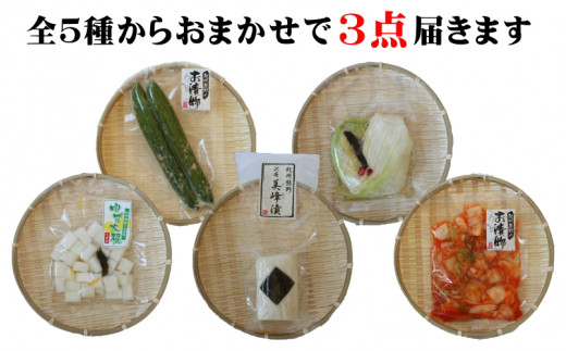 おまかせ３点セット / 漬物 冷蔵 ごはんのおとも 大根 きゅうり 白菜 キムチ 浅漬け ぬか漬け 和歌山 田辺市【ksn001】