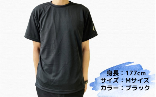 八咫烏Tシャツ 3着セット / 和歌山 田辺市 本宮 熊野本宮大社 八咫烏 やたがらす 服 ティーシャツ 日用品 雑貨【ptl008】