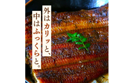 【3カ月定期便】特大うなぎ蒲焼き2本セット×3回 / 和歌山 田辺 うなぎ 鰻 かば焼き うな丼 うな重  国産 鰻丼 特大【kpy024-tk】