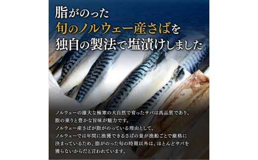 塩さば 切り身 3kg(約20枚前後）厚切り / 鯖 切り身 フィレ サバ 焼き魚 甘塩 冷凍 おかず ご家庭用 和歌山県 田辺市【mts007-3】