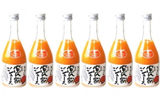 紀州産ミカンジュースと南高梅のジュースセット 季節毎の柑橘ジュース500ml×６本・梅ジュース500ml×６本 / 和歌山 和歌山県産 田辺市 紀州南高梅 梅  梅ジュース みかん みかんジュース 100％ジュース ジュースセット【ktr006-2】