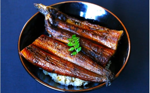 【12カ月定期便】うなぎ蒲焼き2本セット×12回 / 和歌山 田辺 うなぎ 鰻 かば焼き うな丼 うな重  国産 鰻丼【kpy017-tk】