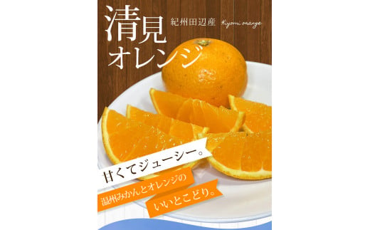 【期間限定・2025/5/15まで】清見オレンジ 1kg※2025年5月から順次発送予定※ / オレンジ きよみオレンジ きよみ 柑橘 フルーツ 果物 和歌山県 田辺市 【nak040】