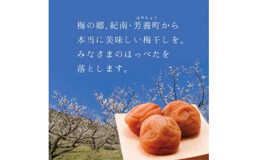 【A級品】紀州南高梅 田舎梅 1kg 塩分10％ / 梅干し 梅干 うめぼし 南高梅 国産 梅 うめ ウメ 完熟 健康 ご飯のお供 昔ながら 贈り物 ギフト プレゼント お取り寄せ せんのうめ 和歌山県 田辺市 仙宝【spo003】