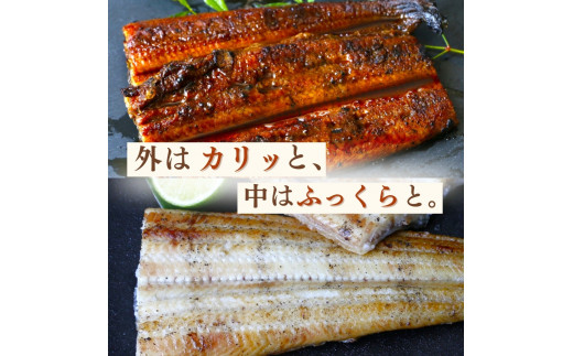 【12カ月定期便】特大うなぎ蒲焼き、うなぎ白焼き　各1本セット ×12回/ 和歌山 田辺 うなぎ 鰻 白焼き うな丼 うな重  国産 鰻丼 かば焼き【kpy032-tk】