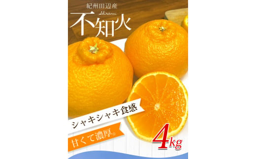 【期間限定・2025/1/31まで】不知火4kg※2025年3月から順次発送予定※ / 和歌山県 しらぬい デコポン フルーツ 果物 柑橘 田辺市 【nak015-1】