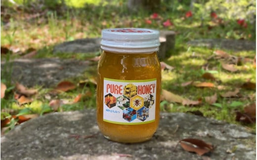 PURE HONEY 純粋はちみつ　600g  / 田辺市 はちみつ ハチミツ 蜂蜜  無添加 国産【nts006-1】