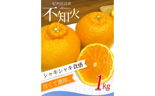 【期間限定・2025/1/31まで】不知火1kg※2025年3月から順次発送予定※ / 和歌山県 しらぬい デコポン フルーツ 果物 柑橘 田辺市 【nak014-1】