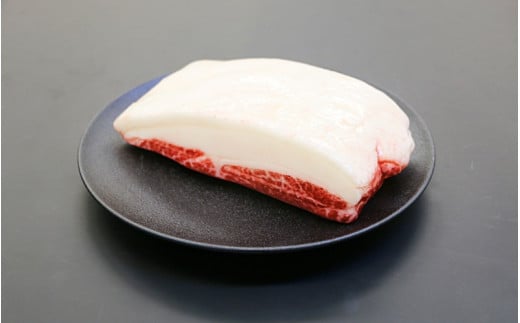 【肉塊】「紀州イノシシ　ロース肉」ブロック500g  / 田辺市 猪肉 イノシシ肉 イノシシ ボタン ロース 塊 肉 ブロック 紀州ジビエ ジビエ【kgs005-1】