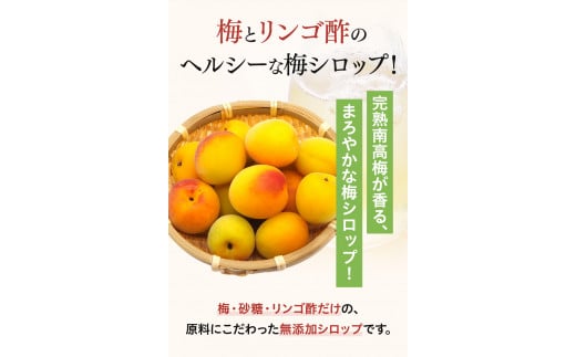 完熟梅シロップ 330g×2  / 和歌山 田辺市 紀州南高梅 南高梅 梅 梅シロップ 梅ジュース【kbe024-1】