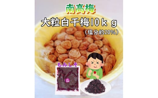 紀州南高梅　ほんまもんの梅干し（塩分20％） 秀品　L,2L,3Lサイズいずれか　10kg樽  2樽+もみしそ（750g） / 田辺市 紀州南高梅 南高梅 梅干 梅 しそ 秀品 樽入り 和歌山 樽漬け【mry010-3】