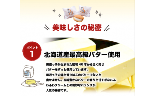 【3か月定期便】銘菓 田辺っ子（たなべっこ）9個入り / 銘菓 お菓子 スイーツ 和菓子 個包装 小分け プレゼント ギフト ご家庭用 贈答 和歌山 バター クリーム お土産 お取り寄せ 田辺市【shd026-tk】