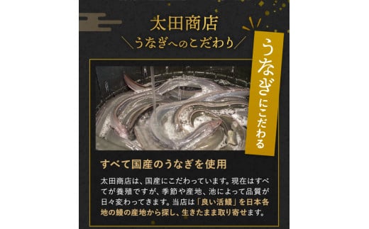 【12カ月定期便】国産うなぎ蒲焼（２本）タレ付き×12回 /  定期便 毎月お届け 和歌山 田辺市 国産 国産うなぎ 国産鰻 うなぎ 鰻 鰻丼 うな丼 土用の丑の日 冷凍【ots026-tk】