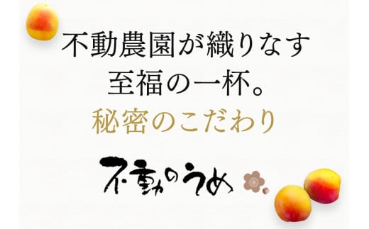 完熟梅酒「上芳養」1本 / 和歌山県 和歌山県産 不動農園 上芳養 田辺市 南高梅 紀州南高梅 完熟梅 梅酒 お酒 無添加梅酒 無添加 ロック 水割り 宅飲み 家飲み【hdu005-2】