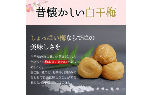 そのまんま白干梅 A級品 計1.5kg（250g×6個） / 梅干し 梅干 梅 和歌山 和歌山県産 田辺市 紀州南高梅 南高梅 白干し梅 無添加 しょっぱい梅干し 昔ながらの梅干し なつかしい A級【kfo007】