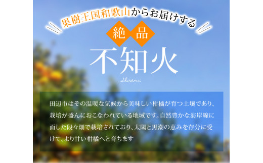 【期間限定・2025/1/31まで】不知火1kg※2025年3月から順次発送予定※ / 和歌山県 しらぬい デコポン フルーツ 果物 柑橘 田辺市 【nak014-1】