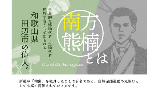 南方熊楠っまんじゅう 8個入り / まんじゅう 饅頭 おまんじゅう 和菓子 菓子 お菓子 おかし あんぱん アンパン 田辺市 和歌山 甘い 可愛い おやつ ギフト 贈り物 二宮【nnm001】