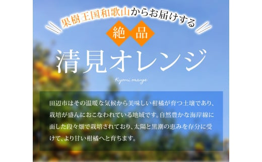 【期間限定・2025/5/15まで】清見オレンジ 1kg※2025年5月から順次発送予定※ / オレンジ きよみオレンジ きよみ 柑橘 フルーツ 果物 和歌山県 田辺市 【nak040】