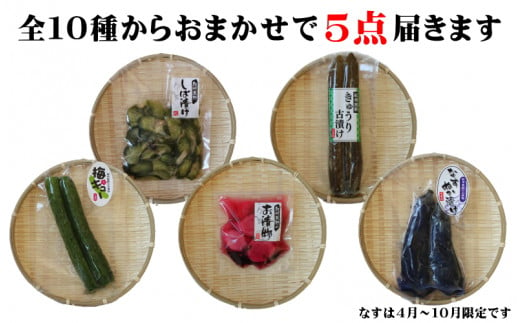 おまかせ５点セット / 漬物 冷蔵 ごはんのおとも 大根 きゅうり 白菜 古漬 梅漬け キムチ 浅漬け ぬか漬け 和歌山 田辺市【ksn002】