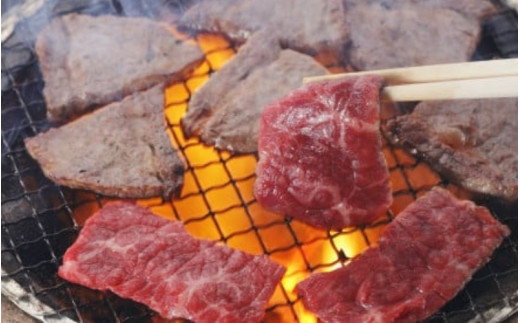 熊野牛バラエティセット 計4.5kg / 和歌山 田辺市 熊野 熊野牛 牛肉 ブランド牛 ロース ヒレ ステーキ 焼肉 すき焼き セット 食べ比べ【oon006】