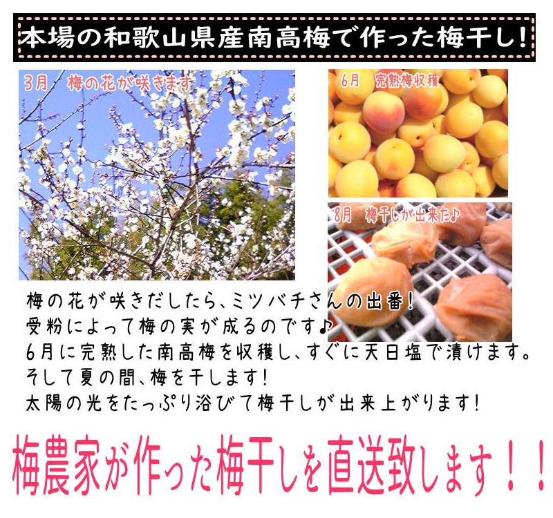 邏蟾槫漉鬮俶「 逋ス蟷イ縺怜漉鬮俶「蟷イ縺 1kg 蝪ゥ蛻20シ 豺サ蜉迚ゥ荳堺スソ逕ィ / 譴 縺繧 繧ヲ繝。 譴蟷イ縺 譴蟷イ 逋ス蟷イ縺 蜊鈴ォ俶「 邏蟾槫漉鬮俶「 蜥梧ュ悟アア逵 逕ー霎コ蟶 縲紳oi014-2縲
