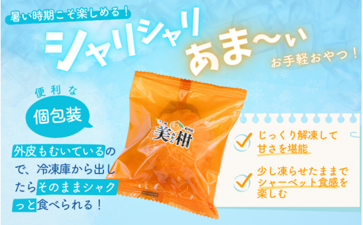 冷凍みかん 紀州産わっ！美柑セット 90個入 業務用にも！ / 和歌山 田辺市 温州みかん 冷凍みかん みかん 皮むき Sサイズ 2Sサイズ 個包装 業務用にも ご家庭用にも【kms004】