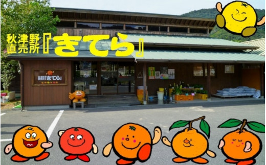 橙ポン酢360ml×3本入り / 和歌山 和歌山県産 田辺市 みかん ポンカン だいだい 柑橘 ポン酢 ぽん酢 酢 調味料 鍋【ktr008-1】