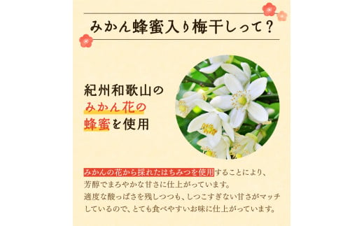 粒よりおいしい梅干 (特選）紀州みかん蜂蜜入り12粒入 和紙調個別包装 （塩分約5％） / はちみつ梅干し 梅干し 和歌山 田辺市 紀州南高梅 南高梅 梅 肉厚 大玉 大粒 個包装 みかん蜂蜜 はちみつ【mtz014】