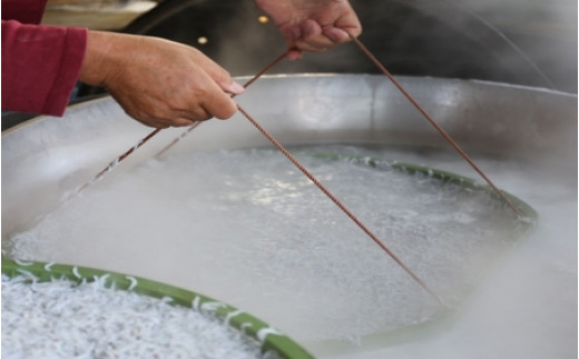 【年内配送】 ご家庭用　和歌山県産　釜揚げしらす（冷蔵）  500g ※北海道・沖縄・離島配送不可/ しらす丼 丼ぶり シラス 冷蔵 ギフト お取り寄せ 和歌山県 田辺市 【mst024-c】