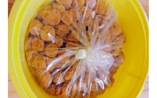 紀州南高梅　ほんまもんの梅干し（塩分20％） 秀品　L,2L,3Lサイズいずれか　10kg樽  2樽+もみしそ（750g） / 田辺市 紀州南高梅 南高梅 梅干 梅 しそ 秀品 樽入り 和歌山 樽漬け【mry010-3】