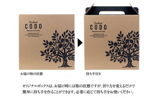 Orchard CODO 3本ギフトセット2（梅とエルダーの芳醇スパークリング 3本） / 和歌山 田辺市 梅干し 梅干 梅 うめ 酒 レモン みかん 夏みかん 本格梅酒 選べる  ギフト 贈答品【isg025-2-1】