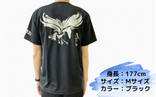 八咫烏Tシャツ 2着セット / 和歌山 田辺市 本宮 熊野本宮大社 八咫烏 やたがらす 服 ティーシャツ 日用品 雑貨【ptl007】