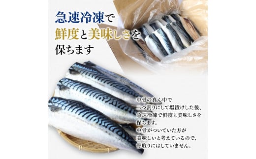 塩さば 切り身 3kg(約20枚前後）厚切り / 鯖 切り身 フィレ サバ 焼き魚 甘塩 冷凍 おかず ご家庭用 和歌山県 田辺市【mts007-3】